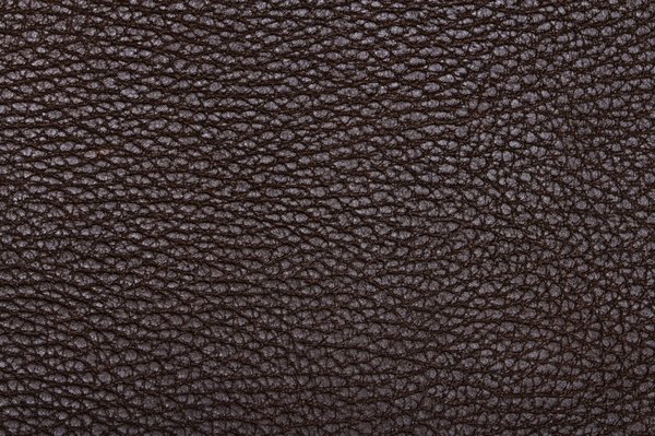 Comment mettre en place une gestion de la qualité pour une start-up dans le secteur de la technologie alimentaire?